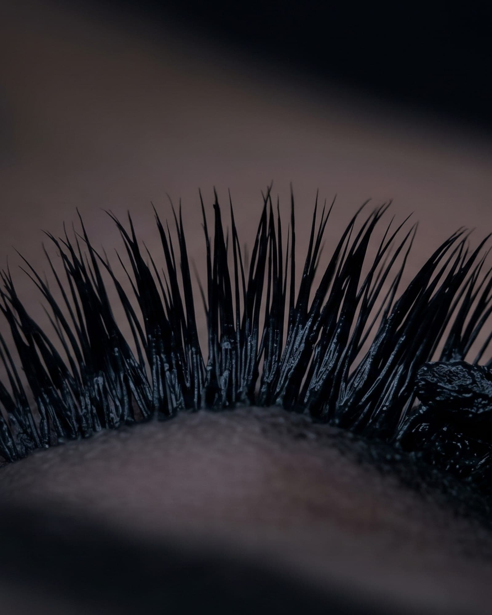 Lash Tint